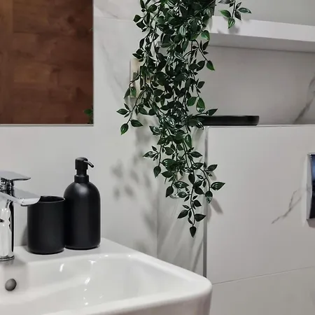 Zlatna Noc - Kapije Zlatibora Apartment *