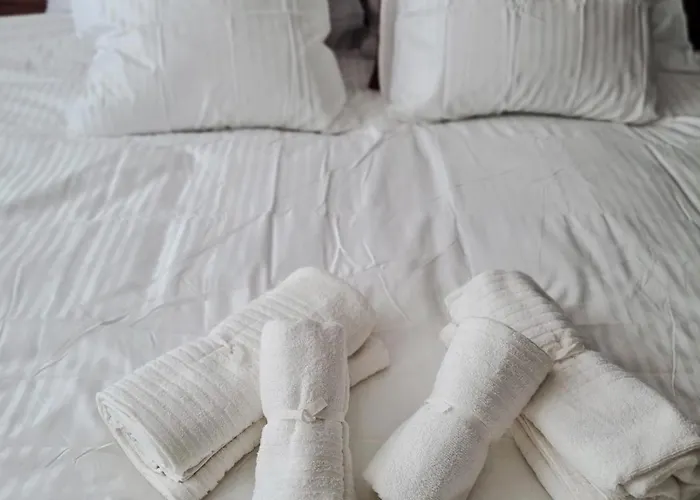 Zlatna Noc - Kapije Zlatibora